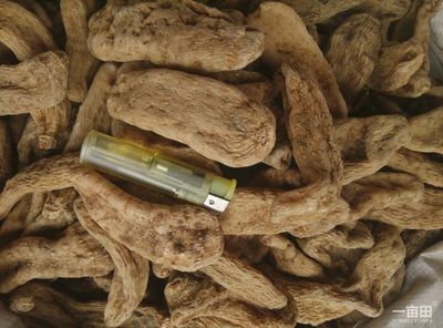 天麻安徽亳州譙城區_批發_供應-一畝田農業網_專業的農產品信息商務平臺